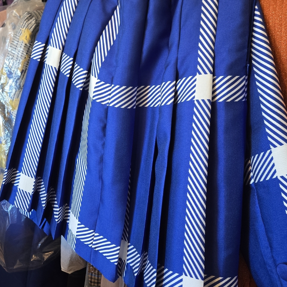 Blue Plaid Women's Skirt